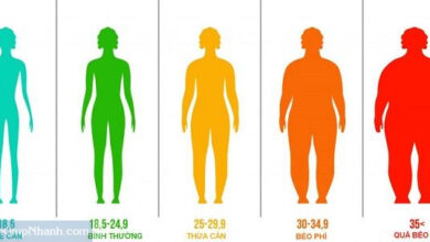 Photo of BMI là gì ? Cách xác định chỉ số khối cơ thể BMI của bạn.